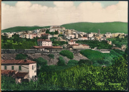 °°° 22017 - VELLETRI - PANORAMA - 1961 °°° - Velletri