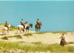 Cote D'opale- 2 Cartes-equitation Dans Les Dunes -littoral De La Manche-cpm - Nord-Pas-de-Calais