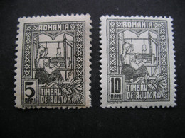 ROMANIA The Queen Weaving 1916-8 MNH - Other & Unclassified