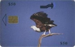 ZIMBABWE : ZIM35 $50 Fish Eagle In Flight USED - Zimbabwe