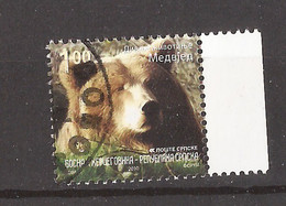 2021 -01-01 2010 FAUNA  BOSNIA ERZEGOVINA SERBA   REPUBLIKA SRPSKA  Banja Luka BEAR  WWF USED - Usados