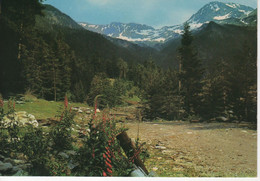 N°104  VALLEE D'AURE - Route De Pèguère Dans Rieumajou. Face Ouest Du Batoua (3035) Crête Des Guerreys (2970m) - Vielle Aure