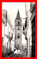 TARJETA POSTAL FOTO VISTA PARCIAL DE DE LA TORRE DE LA IGLESIA DE MOGER - ( HUELVA ) - Huelva