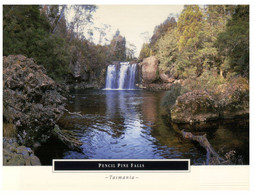 (CC 21) Australia - TAS - Cradle Mountain Lake St Clair Pencing Pine Falls - Wilderness