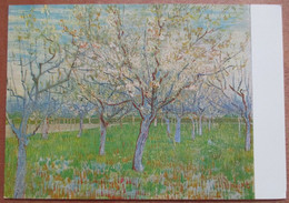 NETHERLANDS HOLLAND AMSTERDAM VINCENT VAN GOGH PINK ORCHARD MUSEUM ART VINTAGE POSTCARD PC CPM CARTOLINA - Austerlitz