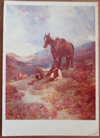 USA UNITED STATES FRANK TENNEY JOHNSON MORNING SHOWE ROCKWELL MUSEUM POSTCARD ANSICHTSKARTE PICTURE CARTOLINA PHOTO CARD - Kings Canyon