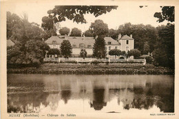 Auray * Le Château Du Sablen - Auray