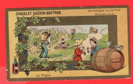 15 Chromos THEME  Le Vin  La Vigne  Viticulture  Raisins  Grapes  Vendages  Calendrier  1877 - Wijn