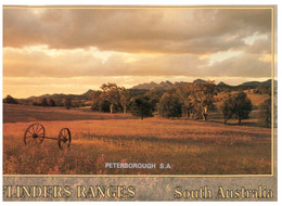 (DD 26) Australia - SA - Flinders Ranges - Flinders Ranges