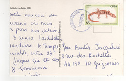 Beau Timbre , Stamp "  Lézard Lagartos Endemicos"  Sur Cp , Carte , Postcard Du 08/02/2005 ATTENTION , Carte Coupée - Lettres & Documents