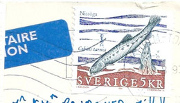 SUEDE TP Sur Carte Postale Entière - Cartas & Documentos