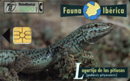 SPAIN ESP58 1000pta FAUNA Lagartija De Las Pittiusas USED - Andere & Zonder Classificatie