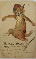 POSTCARD Illustrators - Signed > Wain,Louis CAT KATZEN LITHO USED - Wain, Louis