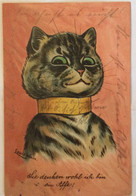 POSTCARD Illustrators - Signed > Wain,Louis CAT KATZEN USED 1906 - Wain, Louis