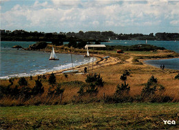 Ile D'arz * Panorama De La Pointe De Léos * Baie Du Centre Nautique Des Glénans - Ile D'Arz