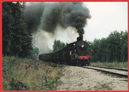 NORWAY 2.8.1981 KRØDERENBANEN «Veteran Steam Locomotive Type 24b 236 Between Sysle And Snarum Stations» - Other & Unclassified