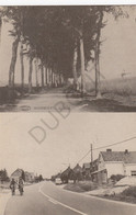 Postkaart - Carte Postale MEERHOUT - De Dreef  - Repro! Genummerd (C237) - Meerhout