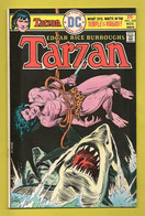 Tarzan Nr 243 - (In English) DC - National Periodical Publications. Inc. - Nov 1975 - Joe Kubert Et Rudy Florese - BE - DC