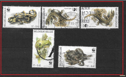 BELGIO - BELGIQUE -BELGIE   2000 World Wildlife Foundation    . USED - Usados