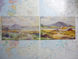2 Cartes Illustrées De Donegal - Donegal