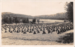 Carte-Photo - J. Lehmurrenberger Lenzburg -  Weizenfelder - Lenzburg