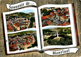 Montluel * Souvenir De La Commune * Multivues - Montluel