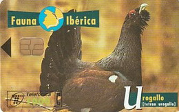 Rare Carte Téléphonique Fauna Ibérica Urogallo 1000 - Other & Unclassified