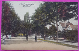 Postcard The Promenade Bedford Rare Bedfordshire England Postmark Stamp - Bedford