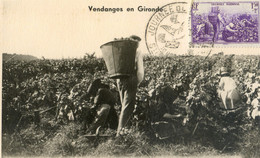 Carte Maximum - 1940 - Vendange En Gironde - Timbre : Secours National - 1.50+2 C  - YT 468 - 1930-1939