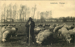 BELGIQUE  LINKEBEEK   Paysage - Ohne Zuordnung