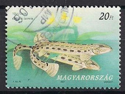 Ungarn  (1997)  Mi.Nr.  4460  Gest. / Used  (5el25) - Used Stamps