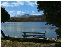(FF 3) Australia - TAS - Lake St Clair (UNESCO) - Wilderness