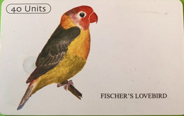 TANZANIE  -   Phonecard   -  Fischer's Lovebird  -  40 Unités - Tanzania