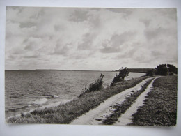 Germany Ostseebad Kühlungsborn (Kr. Bad Doberan) - Weg Nach Heiligendamm - 1980s Unused - Kuehlungsborn