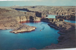 (4224) USA - Arizona - Lake Powell - Colorado River - Lake Powell