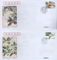 China Volksrepubliek FDC 1995-6 PJF-4 4 Covers (463) - Autres & Non Classés