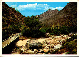 Arizona Tucson Scene In Sabino Canyon 1984 - Tucson