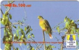 SRILANKA : 37D 100 Orange Breasted Green Pigeon USED - Sri Lanka (Ceylon)