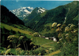 Binn Wallis/Schweiz - Binn