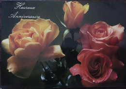 Cpm, Heureux Anniversaire, Fleurs, Roses, Edicromo Série 1051/3 (Espagne), écrite - Birthday