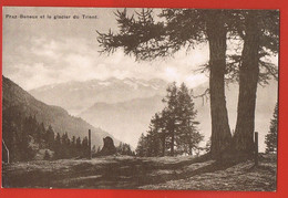 PRAZ BENEUX Et Le Glacier Du Trient- VAUD-  SUISSE-  Cpsm - Scans Recto Verso - La Praz