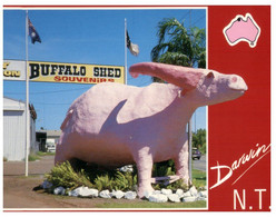 (GG 26) Australia - NT - Darwin, Buffalo Shed  (Pink World Largest Buffalo Lefty (statue) - Darwin