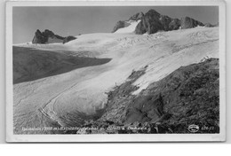 DACHSTEIN - Stein