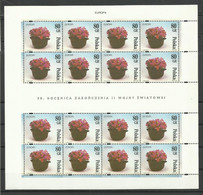 Poland 1995 - Europa Cept, Concentration Camps, Flowers, 2 Complete Sheets, MNH - Autres & Non Classés