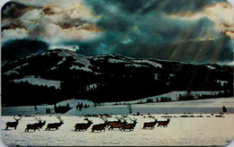 Idaho Herd Of Elk Or Wapiti - Autres & Non Classés