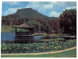 (HH 19) Australia - NSW - Wollongong Botanic Garden - Wollongong
