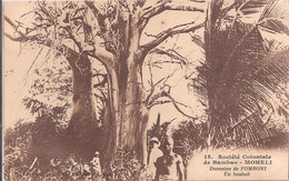 CPA - Société Coloniale De Bambao - Moheli - Un Baobab - Domaine De Fomboni - Comorre