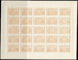 BELGIQUE Essai : TR 14** - 2Fr - Ocre / Oker - 15-02-1894 - Essais & Réimpressions