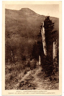 Près Cernay -- HARTMANNSWILLERKOPF-- Vieil Armand--Dans Le Sentier..............à Saisir - Cernay