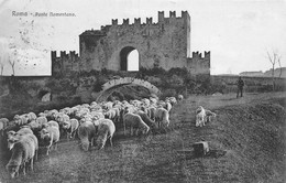 Roma Ponte Momentano  Pastore E Pecora - Ponti